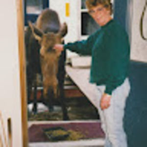 Meet your Posher, Jean